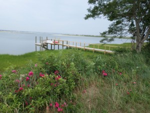 New Construction Permitted Pier, Ramp and Float, Sullivan Engineering and Surveying