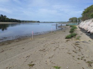 Sullivan Engineering Beach Nourishment