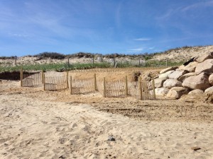 Lower Cape Stone Revetment: After