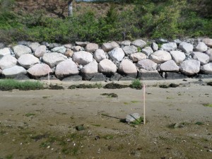 Coastal Rock Revetment and Surveying by Sullivan